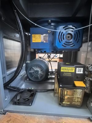 TIANHE 31 Stations D Tooling Candy Computer Control Rotary Tablet Press Machine supplier