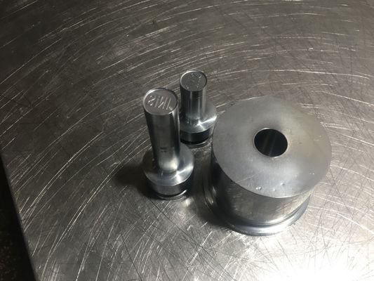 TIANHE Customized Multi-head mould/Punches & dies/Material S7 Hard Chrome supplier