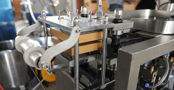 TIANHE High Speed Medical Packing Automatic Syringe Blister Packaging Machine supplier